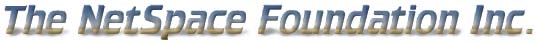 NetSpace Logo